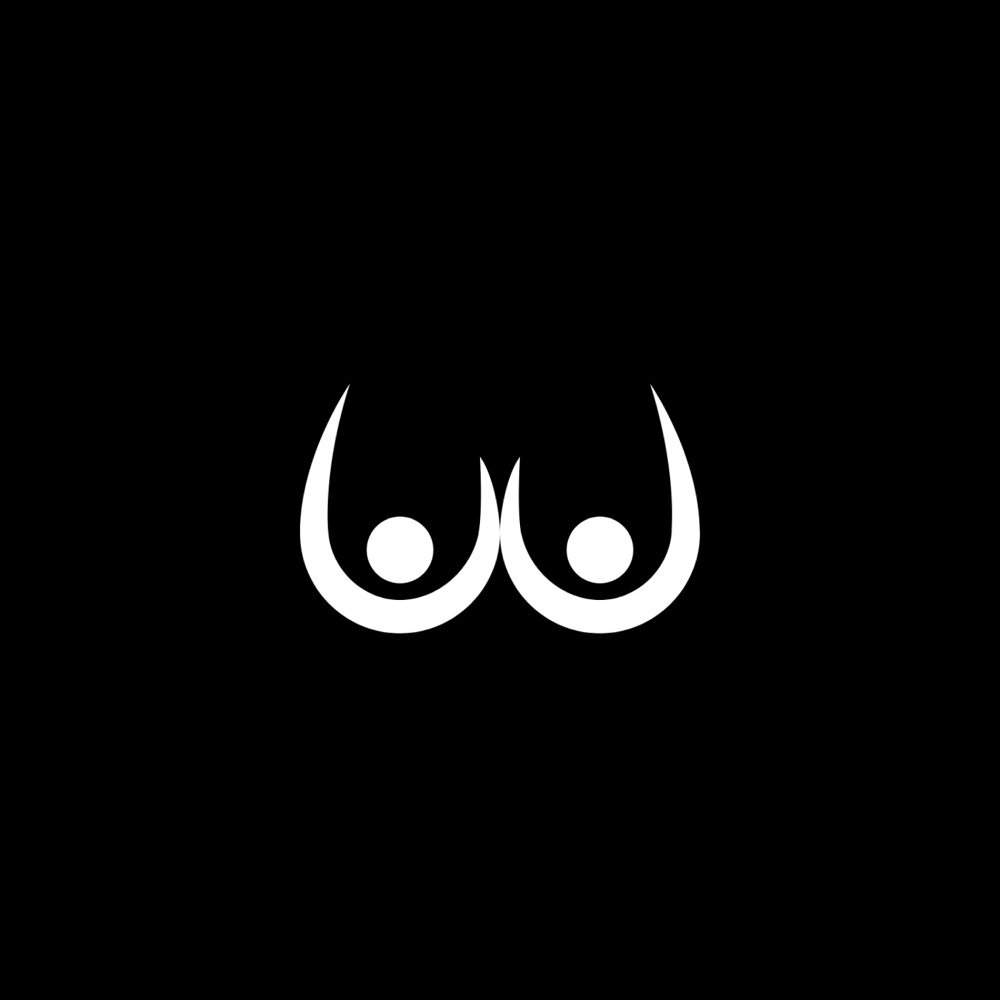 Fake Boobs cover