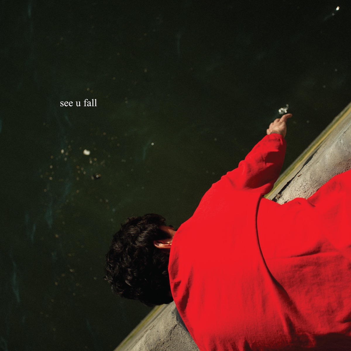 see you fall cover