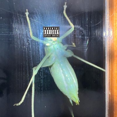 Who I Am cover